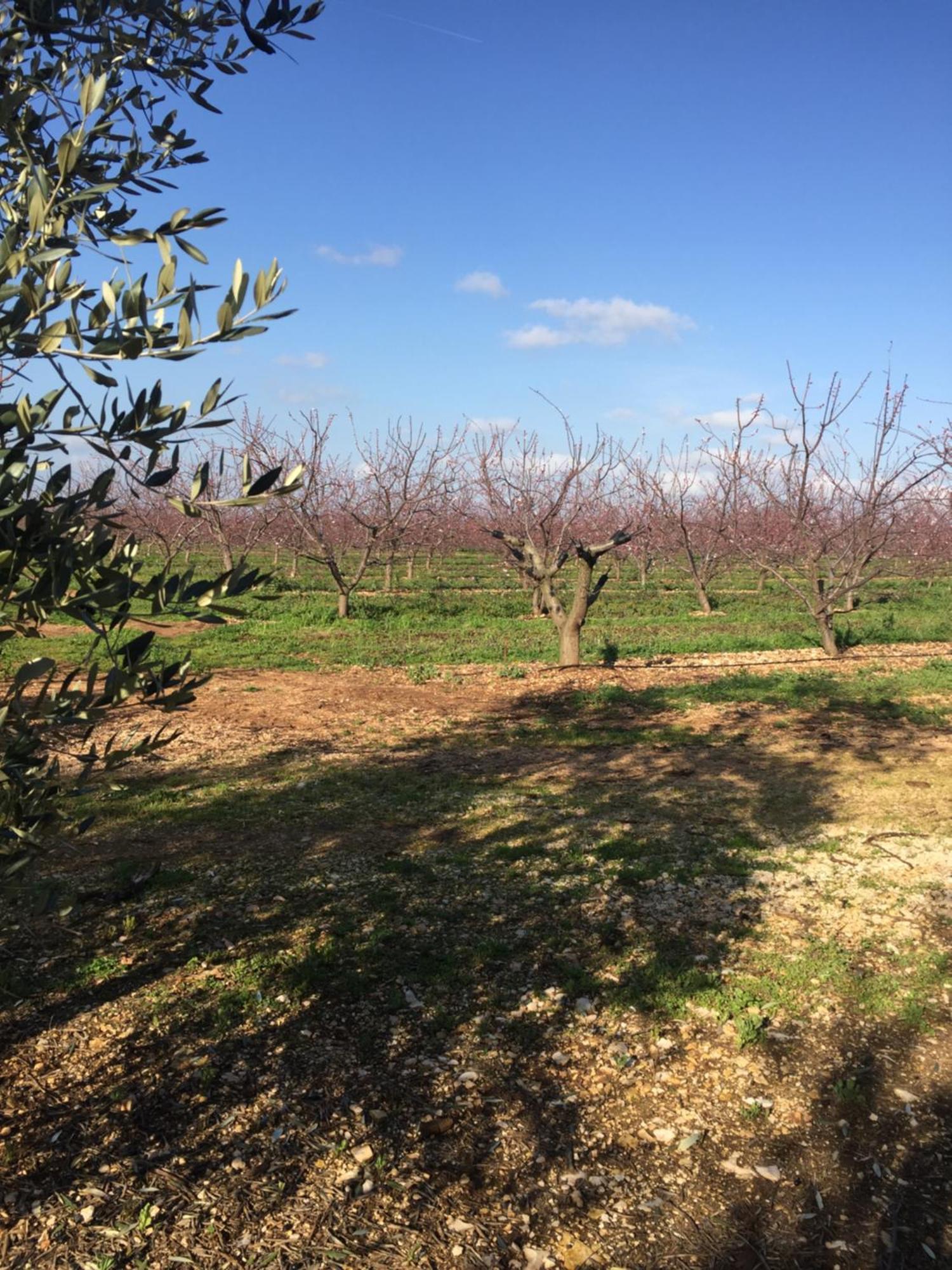 Masseria Gravelle Turi Zewnętrze zdjęcie